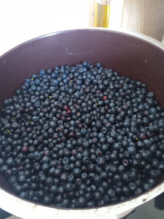 blueberry0.jpg
